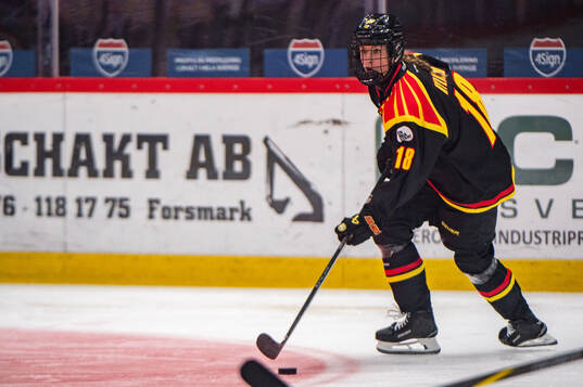 Brynäs Jenniina Nylund