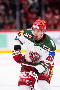 MoDos David Bernhardt