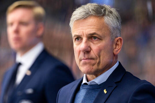 HV71s assisterande tränare Fredrik Stillman