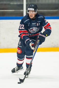 Halmstads Victor Gagic