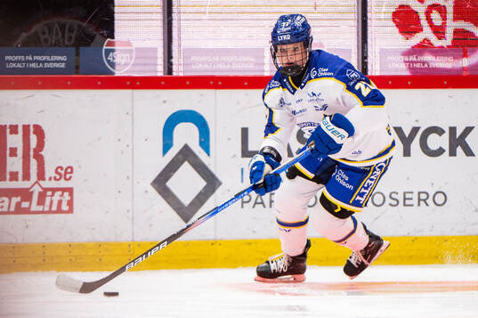 Leksands Shay Maloney