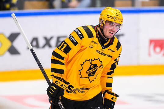 Skellefteås Max Lindholm jublar