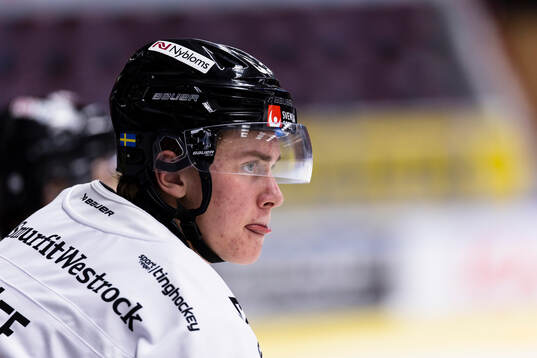 Nybro Vikings Herman Träff