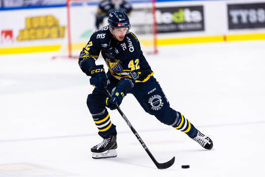 Södertäljes Ludvig Hedström