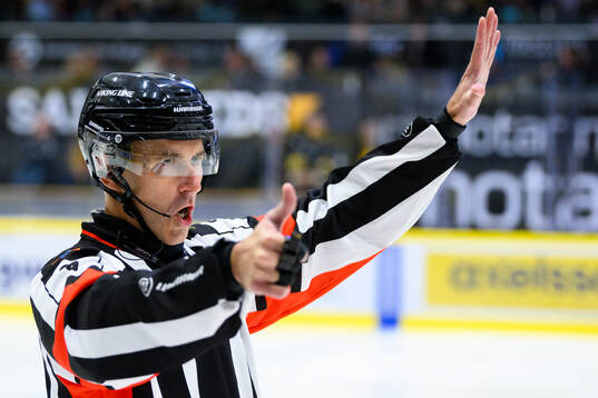 Domare Linus Öhlund