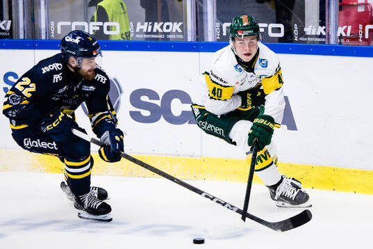 Södertäljes Jacob Bjerselius och Björklövens Alfons