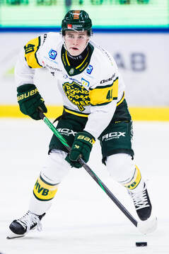 Björklövens Alfons Freij