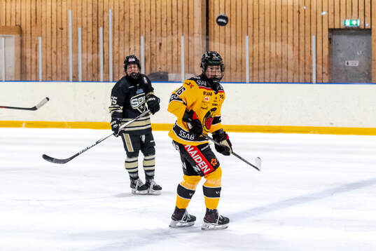 Luleås Petra Nieminen