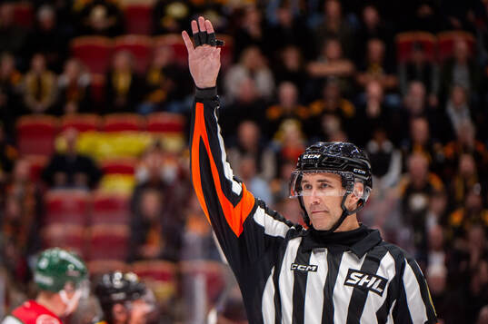 Domare Linus Öhlund