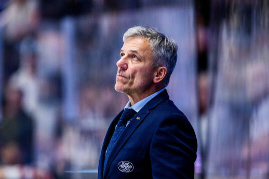 HV71s assisterande tränare Fredrik Stillman