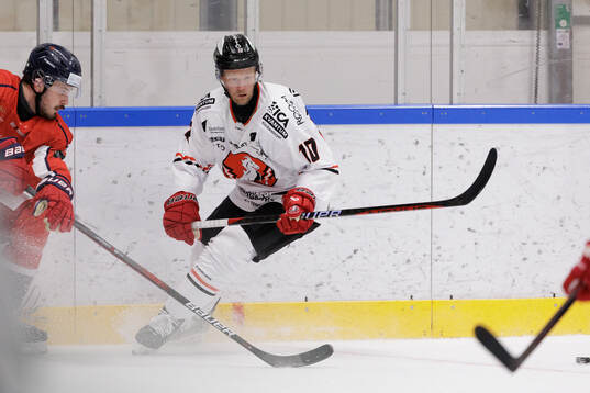 Vita Hästens Jesper Samuelsson