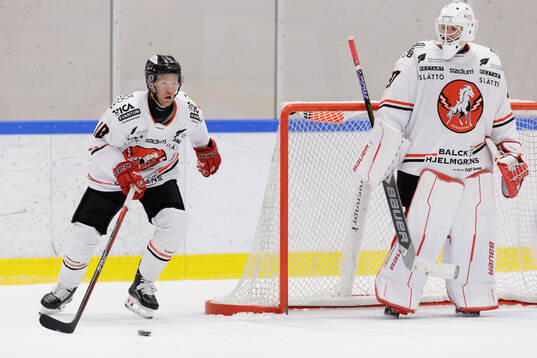 Vita Hästens Jesper Samuelsson