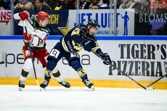 MoDos Lucas Pettersson och HV71s Radan Lenc