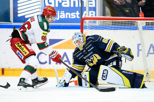 MoDos Lukas Jasek och HV71s målvakt Hugo Alnefelt
