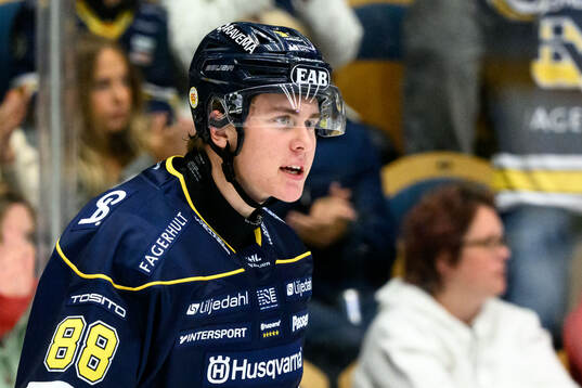 HV71s Herman Träff jublar
