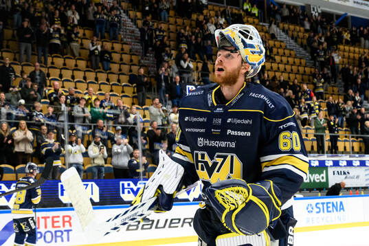 HV71s målvakt Hugo Alnefelt jublar med publiken