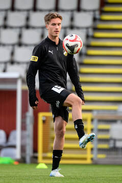 Häckens Joel Hjalmar