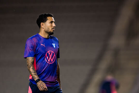 Sergio Pena of Malmö FF