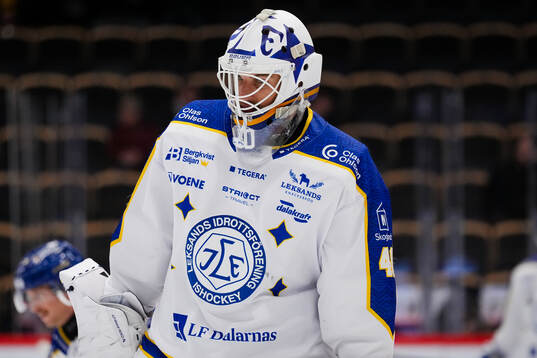 Leksands målvakt Mantas Armalis