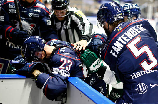 Slagsmål men Linköpings Robin Kovacs och Oscar Fantenberg