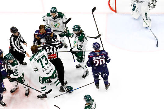 Slagsmål mellan Linköpings Adam Hofbauer och Färjestads