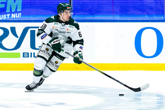 Tingsryds Theo Nordlund