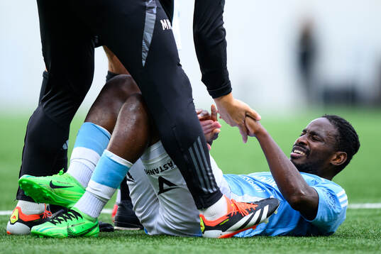 Gefles York Rafael får vård