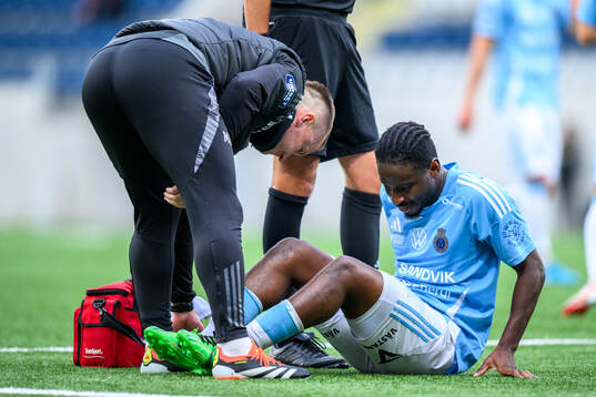 Gefles York Rafael får vård