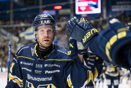 HV71s Mattias Tedenby jublar
