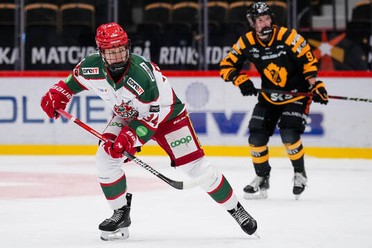 Modos Vendula Pribylova