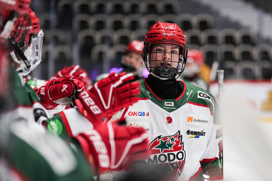 Modos Lauren Bellefontaine jublar