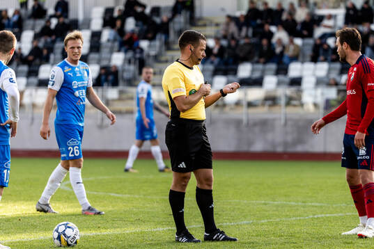 Domare Jovan Krsmanovic