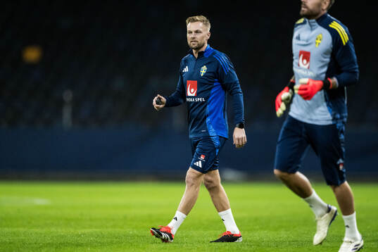 Assistant coach Sebastian Larsson of the Swedish men's