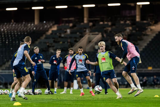 Lucas Bergvall and goalkeeper Viktor Johansson of the