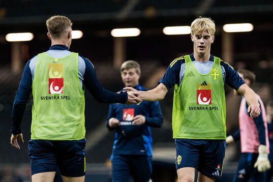 Emil Krafth and Lucas Bergvall of the Swedish men's