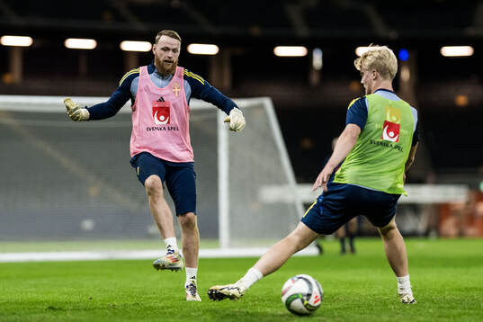 Goalkeeper Viktor Johansson and Lucas Bergvall of the