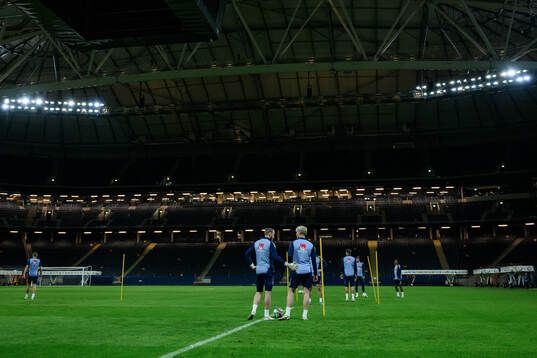 goalkeeper Viktor Johansson and Lucas Bergvall of the