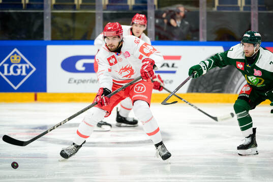 Michail Teply of Ocelari Trinec and Axel Bergqvist of