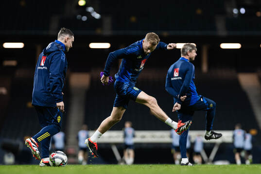 Assistant coach Sebastian Larsson of the Swedish men’s national football team