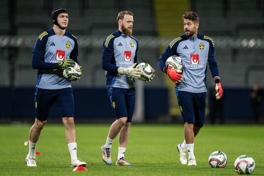 goalkeeper Jacob Widell Zetterström, goalkeeper Viktor