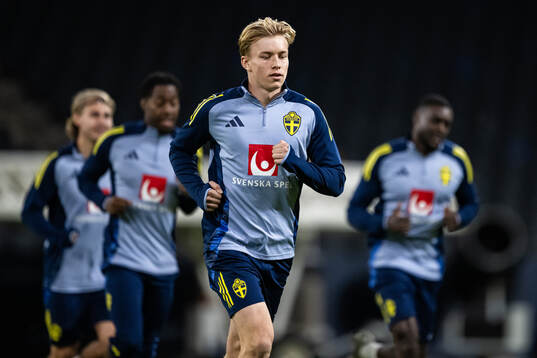 Daniel Svensson of the Swedish men's football national team