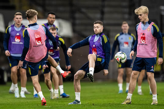 Gabriel Gudmundsson and Lucas Bergvall of the Swedish men's