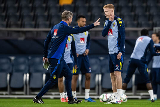 head coach Jon Dahl Tomasson and Hugo Larsson of the