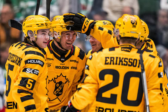 Skellefteås Axel Sandin Pellikka och Max Lindholm jublar