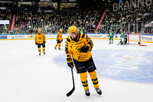 Skellefteås Max Lindholm jublar
