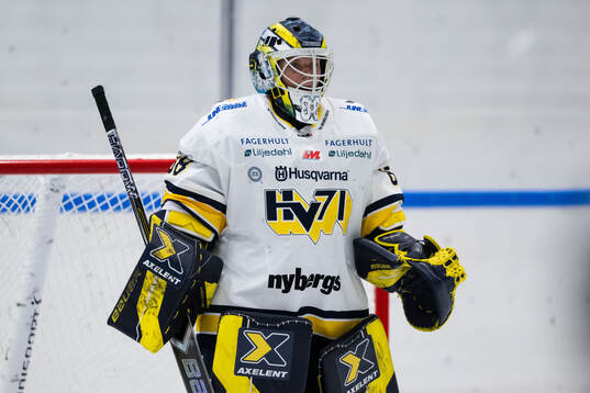 HV71s målvakt Lina Van Noort