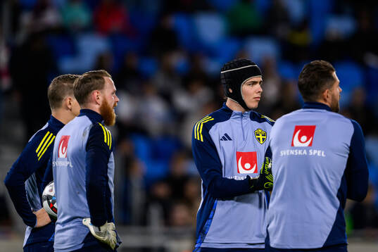 goalkeeper Viktor Johansson, goalkeeper Jacob Widell
