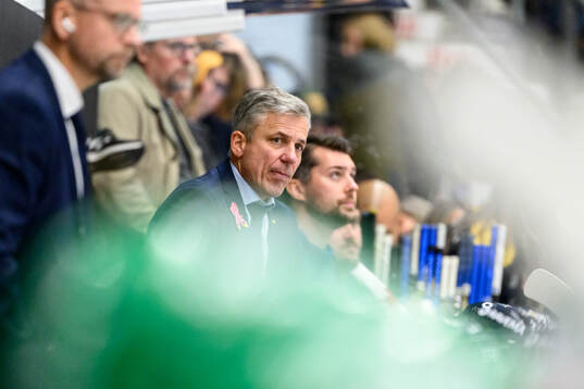 HV71s assisterande tränare Fredrik Stillman