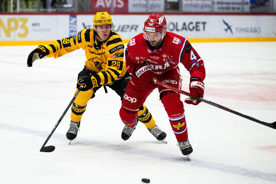 Skellefteås Michael Brandsegg-Nygård och Timrås Tim