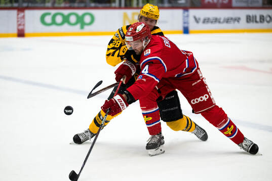 Timrås Tim Erixon och Skellefteås Michael